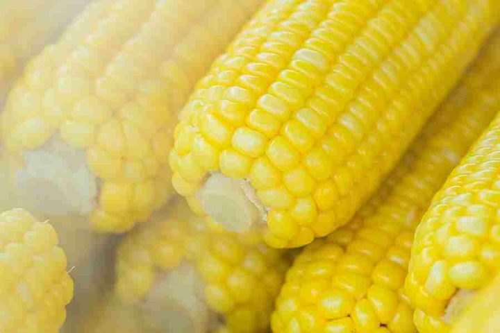 does-corn-have-nutritional-value-is-it-really-healthy