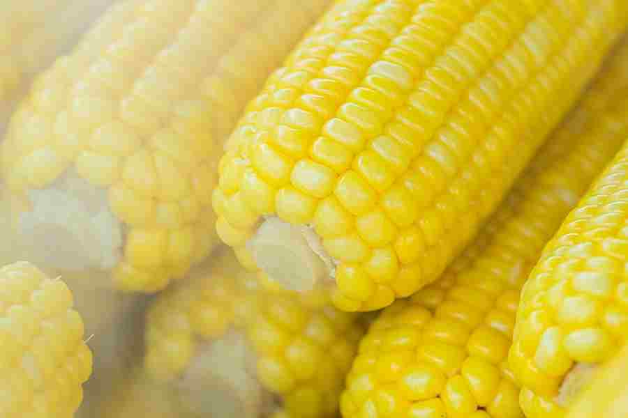 Does Corn Have Nutritional Value