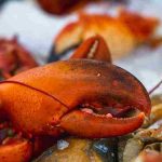 Why Cook Lobster Alive