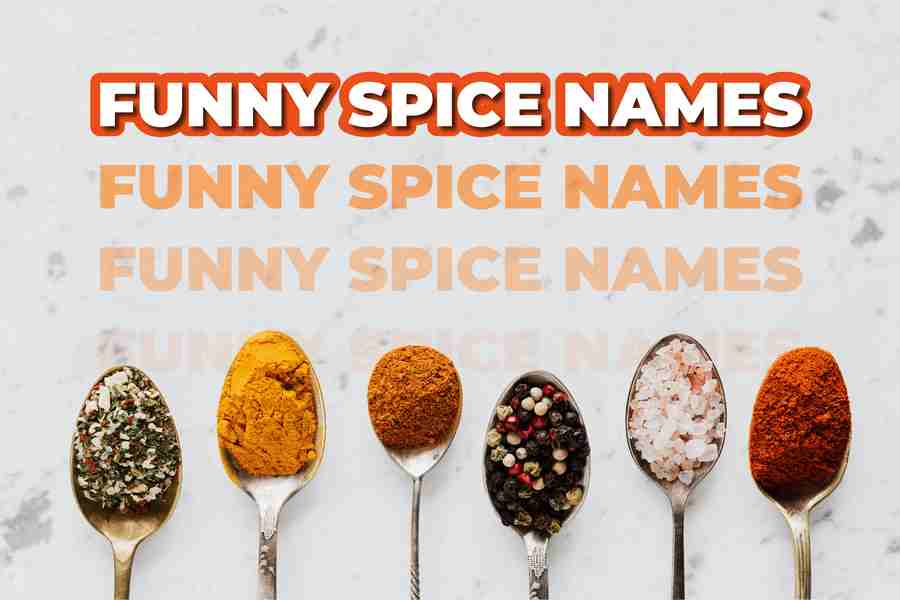 Funny Spice Names